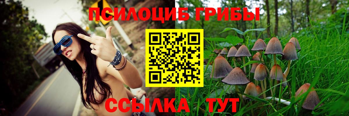 Красноярск  Псилоцибиновые грибы Cubensis  Галлюциногенные грибы мухоморы  Вход с VPN 