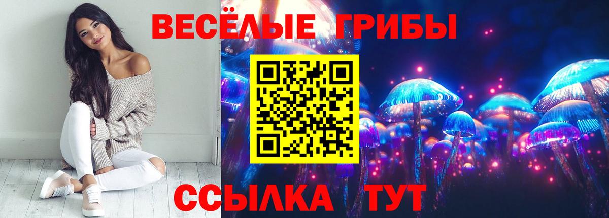 Псилоцибиновые грибы прущие грибы Красноярск